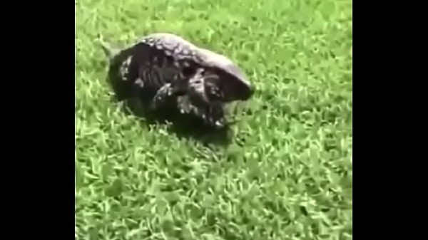 &eacute;crivez un titre diff&eacute;rent mais toujours pertinent