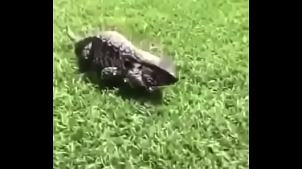 &eacute;crivez un titre diff&eacute;rent mais toujours pertinent 