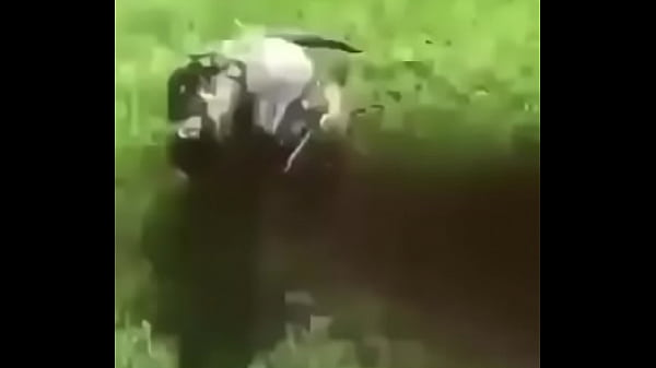 &eacute;crivez un titre diff&eacute;rent mais toujours pertinent 