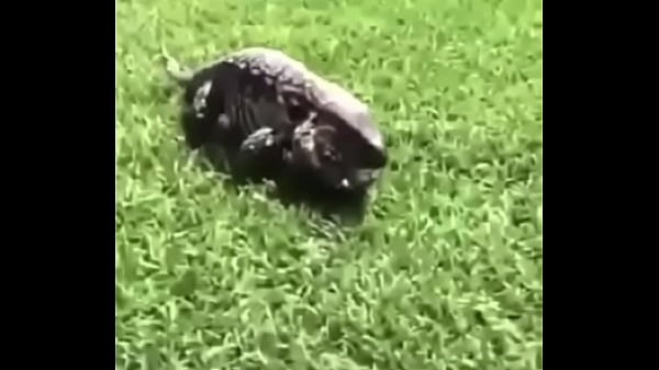 &eacute;crivez un titre diff&eacute;rent mais toujours pertinent  1234567891011121314151617...31Next SEXBOKEP adalah Website Bokep Indonesia Terbaru dan Terlengkap Gratis dimana Anda dapat menonton streaming video bokep dan download vidio bokep terbaru yang sedang viral dengan aplikasi bokep android, Aplikasi bokep free download simontok app terbaru 2026 for PC Mobile Online dan HP     Contact Us   DMCA   Disclamer   Privacy and Policy   Conditions of Use  &copy; 2026 SEXBOKEP All rights reserved