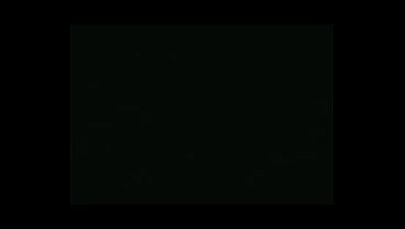 Play MP4 - Anubis Mating Press