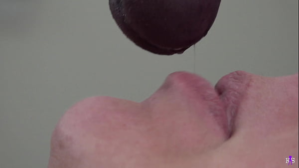 Play MP4 - Cuckold's Blacked Wife's Breeding