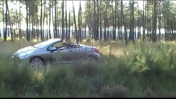 A Guy Destory A Guy In Exhib Outdoor Park thumbnail