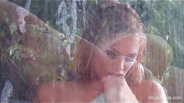 Shyla stylez's anal pounding in the bathroom