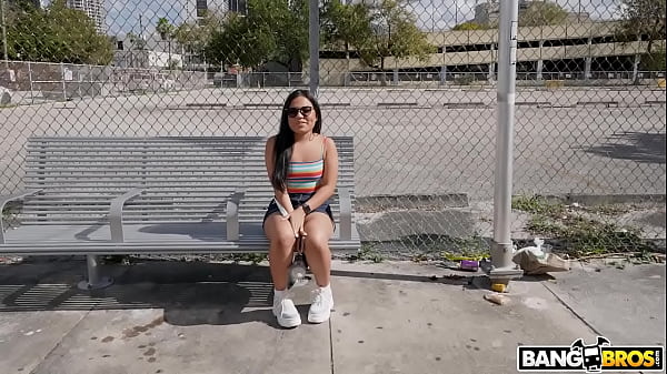 Surprise Analon The_Bus