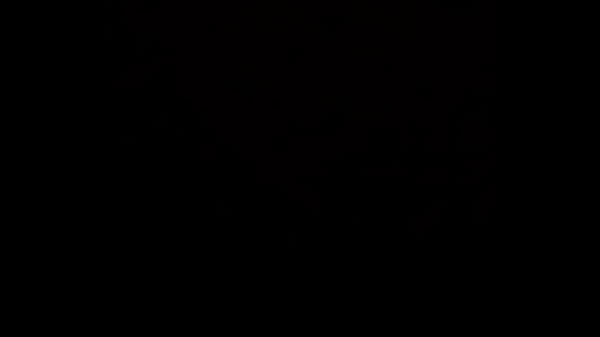 Balls deep creampie, fucking PAWG doggystyle