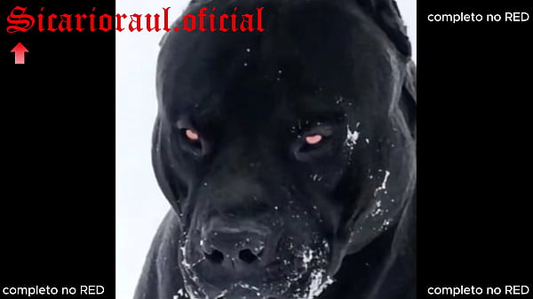 Encontramos nosso amigo de saidinha efudemosgostosocom o safado