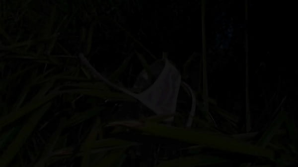 Eve Nicholson fucked with_anal plug and cock