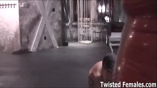 You are nothing more to me than apet