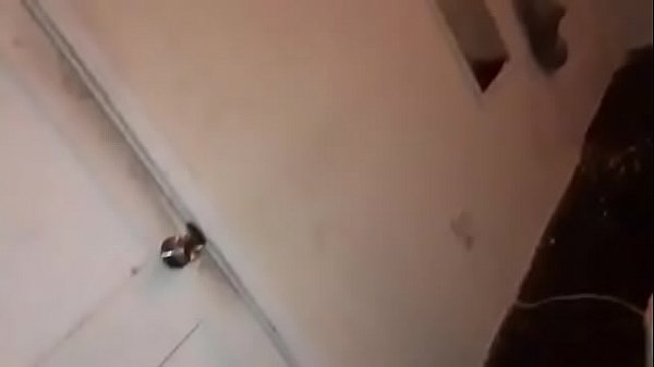 Play MP4 - Smiley the GREAT