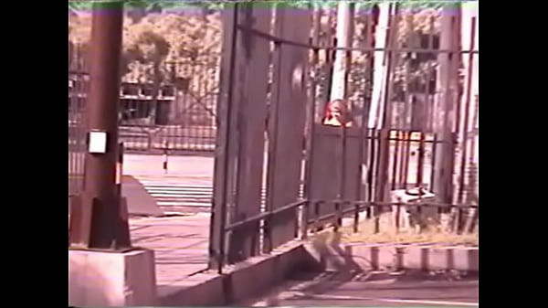 Bellas chicas caminando 4
