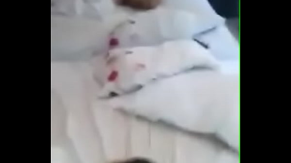 Copia de video_1423782647 mp4