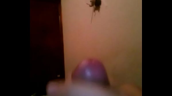 joven paisa medellin colombia 