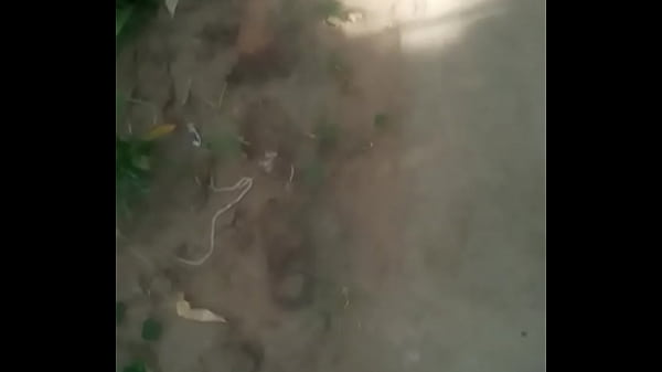 Nonton Kahawachungu Studios thumbnail