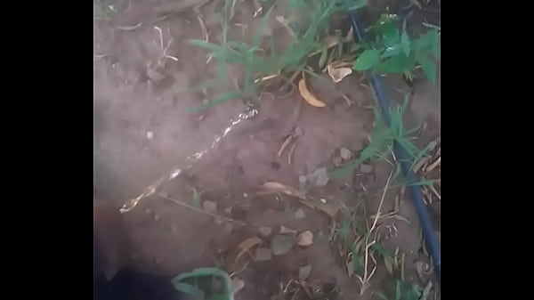 Nonton Kahawachungu Studios thumbnail