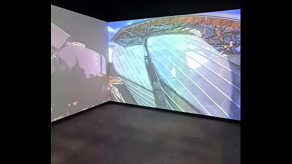 Fondation Louis_Vuitton_Paris