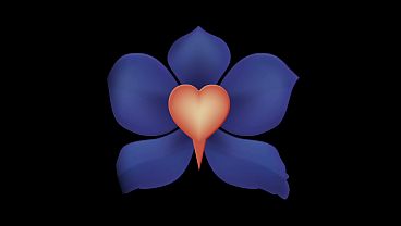 Savor the Sensation of Soft Soles After a Steamy Massage