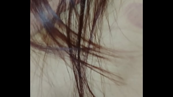 Lý ngựa &ocirc_