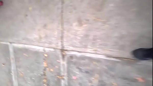 WP 20170505 09 06 52 Pro 