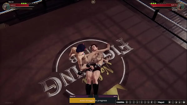Xiao vs jerle nf3d mixed mma combat ring 