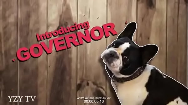 Nonton Yzy Wyoming Documentary thumbnail