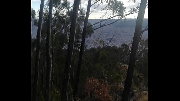 V&iacute_deo de verificaci&oacute_n