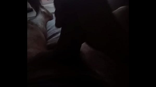 me despierto bien caliente y me_la jaleo