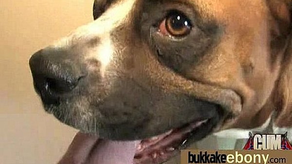 Nonton Her First Interracial Swinger Group 7 thumbnail