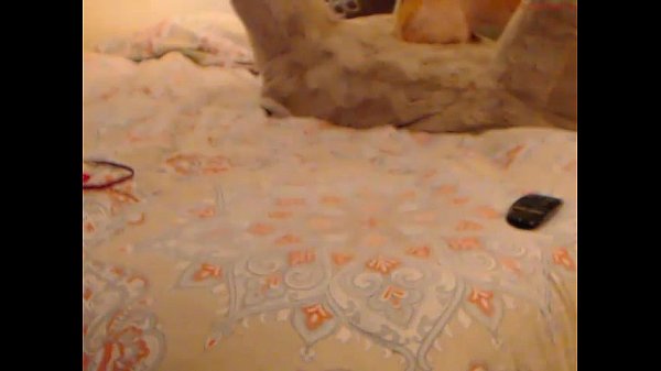 jasminebellxxx american whore_chaturbate