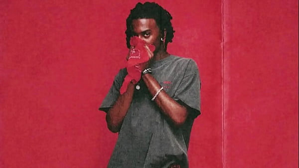 Carti Not Real Version 1