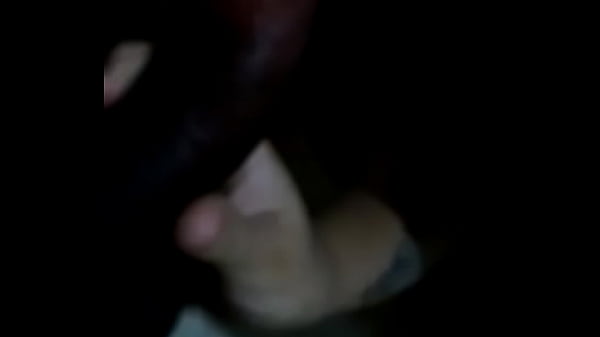 D4 swing casal aventura florian&oacute;polis 