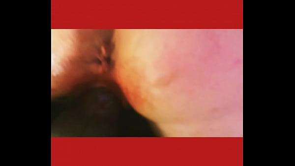 Japanesedoghouseor jp 