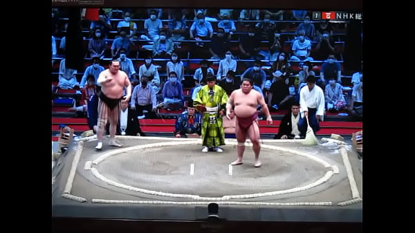 やっぱり白鵬ちゃんは八百長相撲なんだね？ 