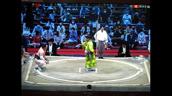 やっぱり白鵬ちゃんは八百長相撲なんだね？