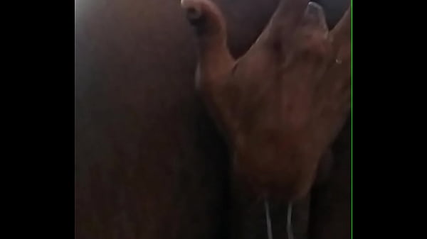 Play MP4 - Vem Gozar no meu Cuzinho