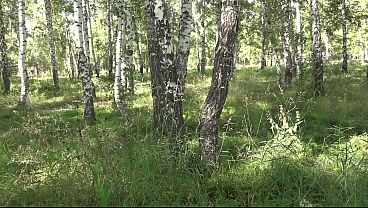 Nonton I Caress My Pussy In The Forest. Natural Pleasure In Nature. Public thumbnail
