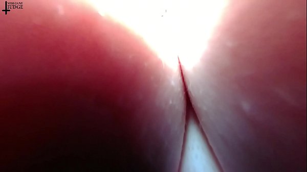 Tiny husband stows away in jane judge boobs