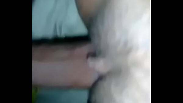 Play MP4 - Verification video