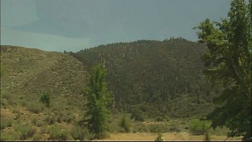 brunette milf riding cock 