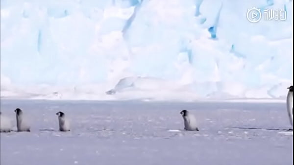 Xếp h&agrave_ng nh&eacute_