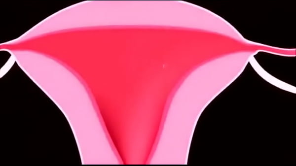 验证视频 thumbnail