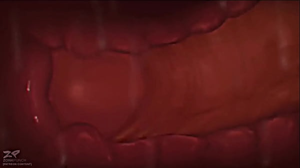 Braixen x Charizard reversed