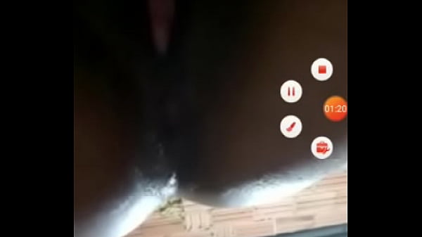 Tá faltando_pica praesse cuguloso