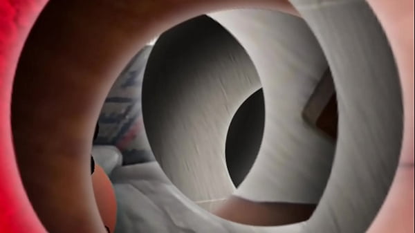 Bostons Wish Gets Granted ( Video) thumbnail