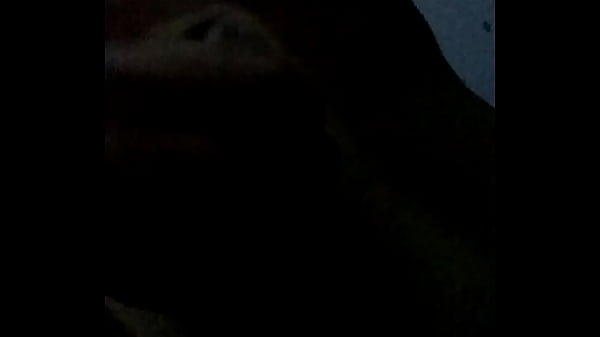 VID 20180201 060014377