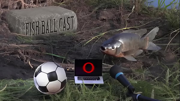 Nonton Membros Do Jogandofoddaci Tomando Esporrada thumbnail