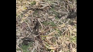 Nonton Hhhh thumbnail