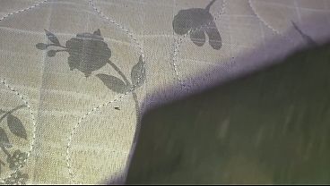 Fodendo o cuzinho