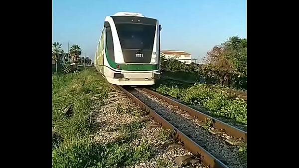 Nonton Extrapolando No Setor Caucaia thumbnail