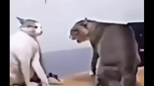 Nonton Queso Con Pan thumbnail